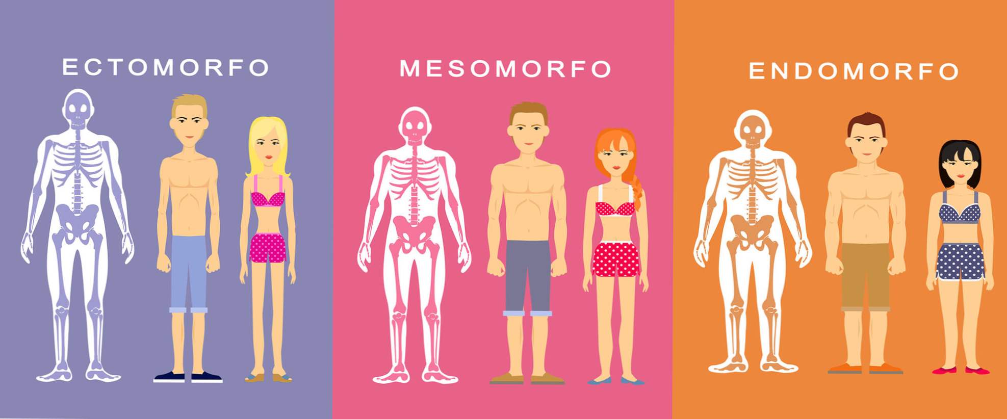 Ectomorf, Endomorph și Mesomorph: Cum să te antrenezi pentru tipul tău de corp