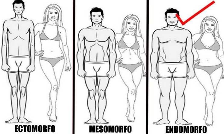 pierderea în greutate endomorf