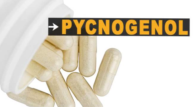 este pycnogenol bun pentru pierderea în greutate)