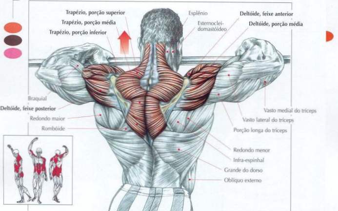 Toți mușchii și articulațiile doare ce este - Dacă toți mușchii și articulațiile doare